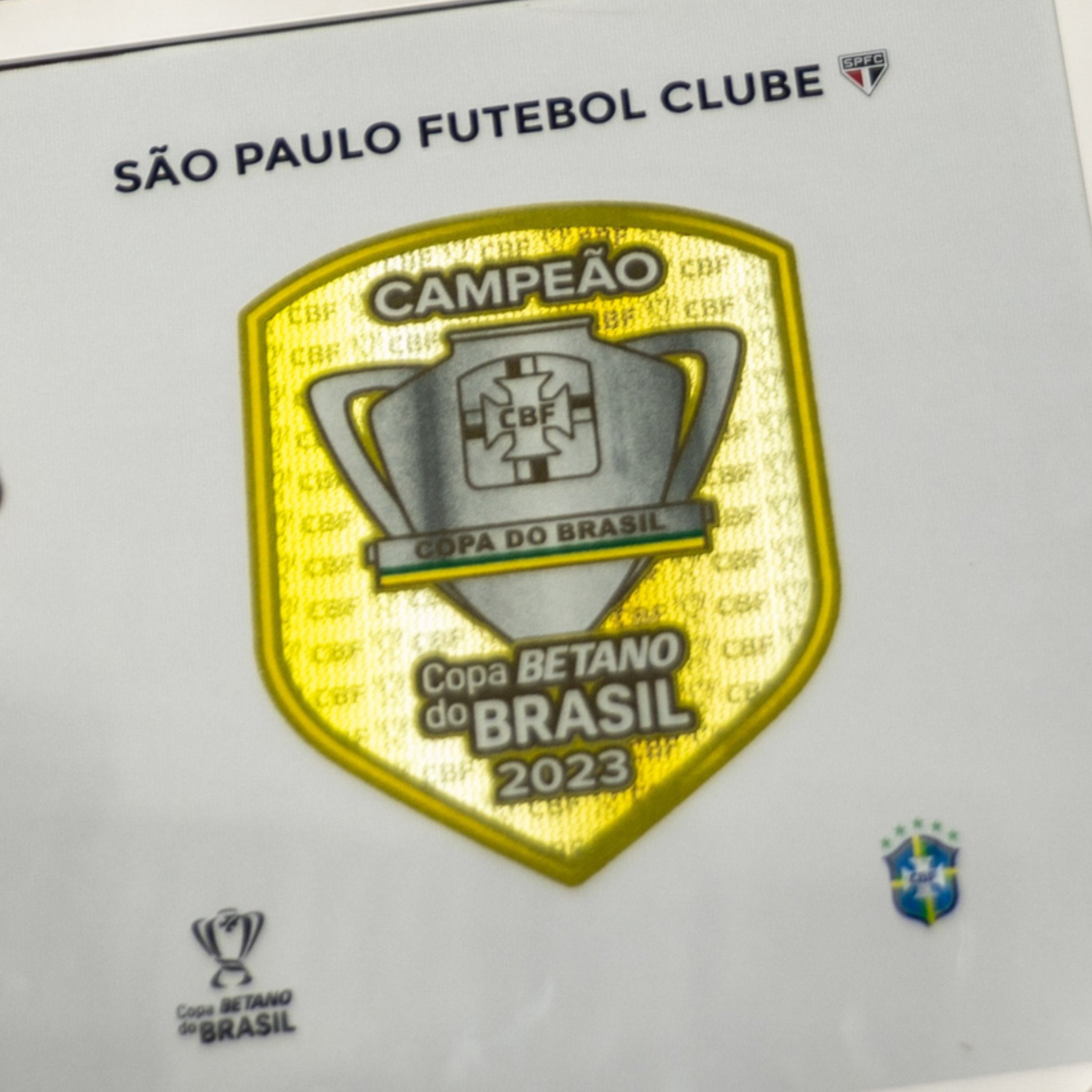 Campeão da Copa do Brasil 2023, Tricolor se classifica à CONMEBOL  Libertadores 2024 - SPFC