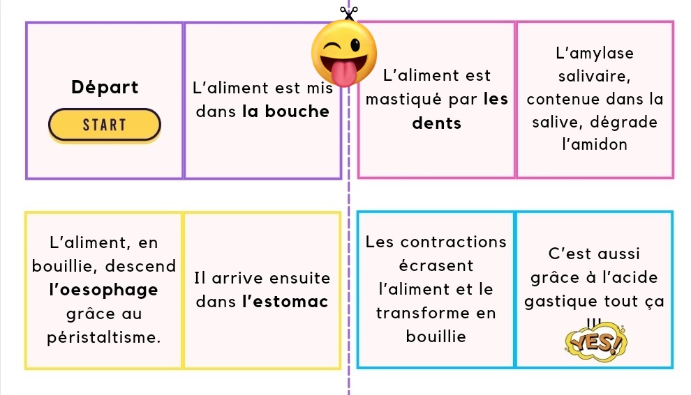 DPetricien's tweet photo. Un dimanche soir où tu cherches une solution pour ton cours de PSE.... et que tu trouves THE idée lol...
Les étapes de la digestion en dominos... bon retour des élèves, prof satisfaite 
#teamPSE #moduleA7 #teamjeu https://t.co/iaLRYbP0D0