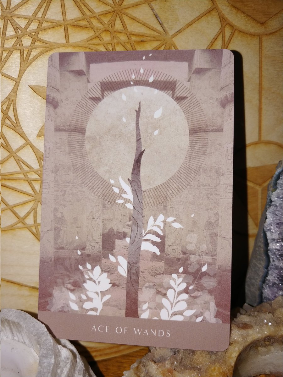 DymondCreations's tweet image. #Tarot pull for the collective
New beginnings that have potential to blossom &amp;amp;  bloom into accelerated growth. You are heading into a life-altering period deeply rooted in your truth. Practice Gratitude and receive blessings that are on the way🙌💫💖
#tarotpull #starseed #witch