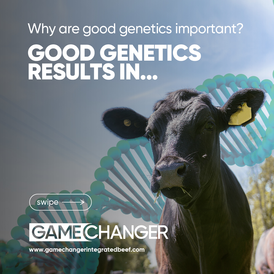 GamechangerFarming tweet media