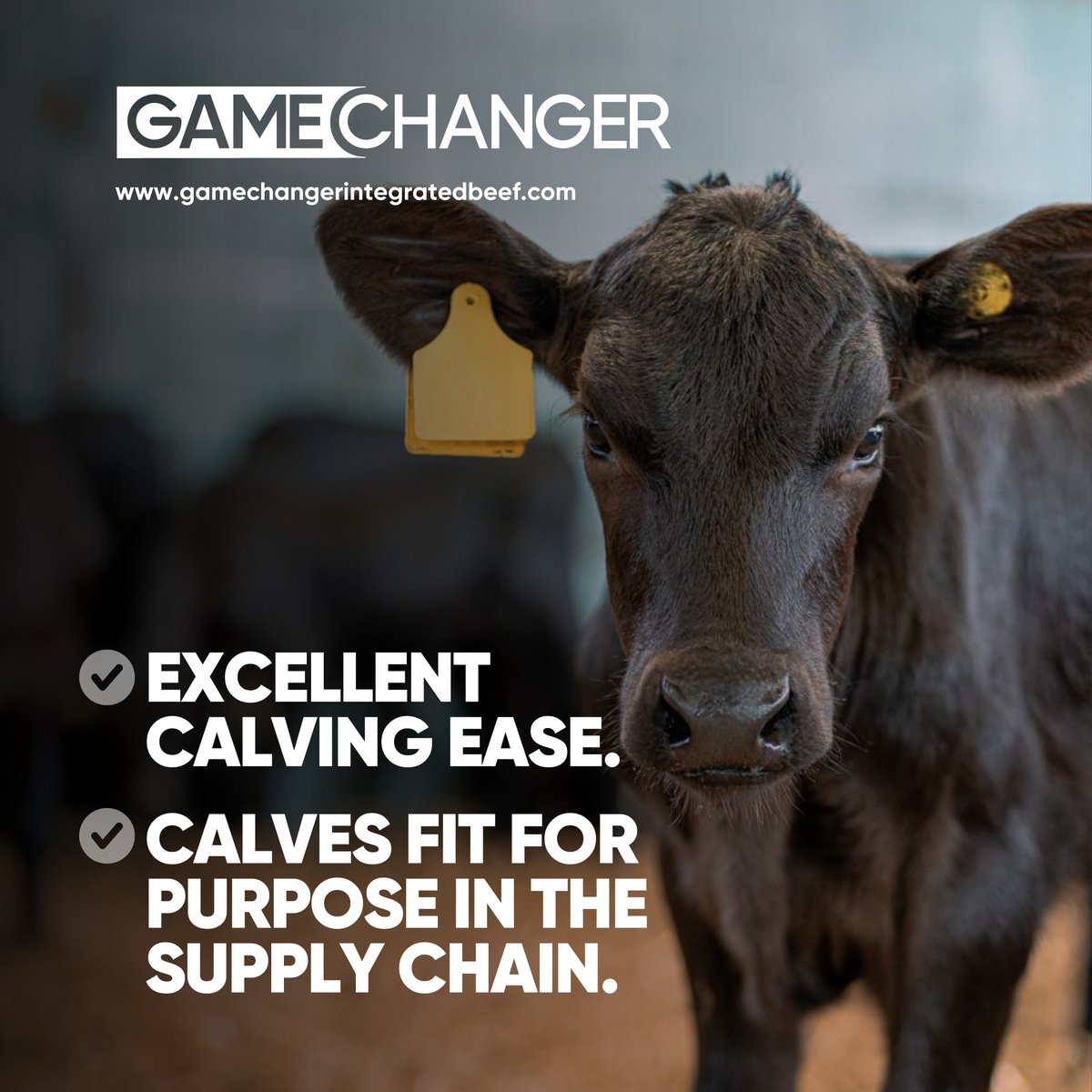 GamechangerFarming tweet media