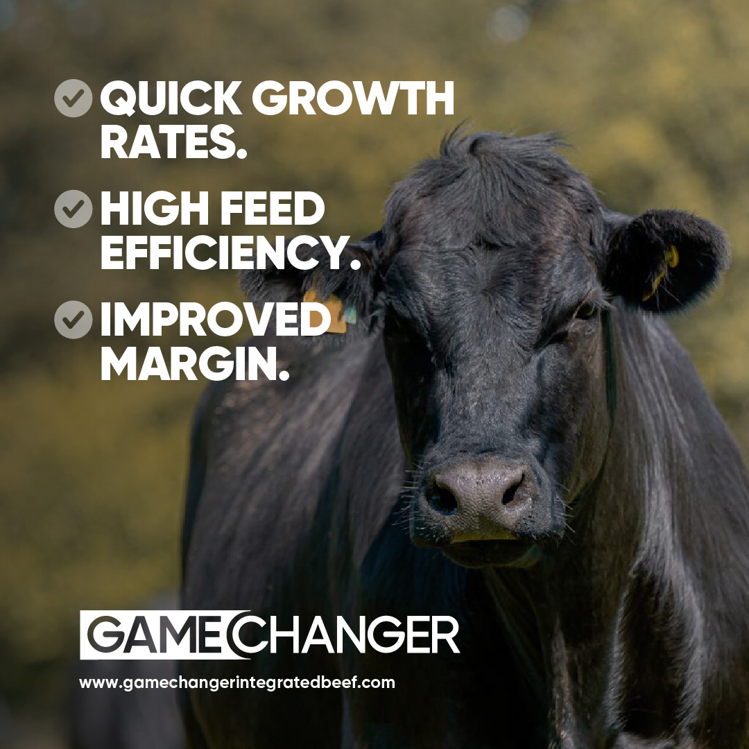 GamechangerFarming tweet media