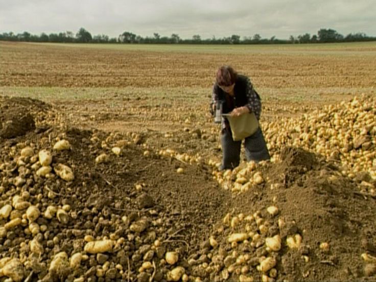 vardaarchive's tweet photo. les glaneurs et la glaneuse (2000) https://t.co/OtkFk7BLmL