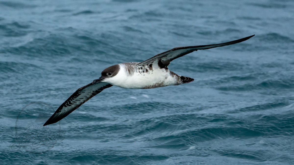 Mike Langman tweet media