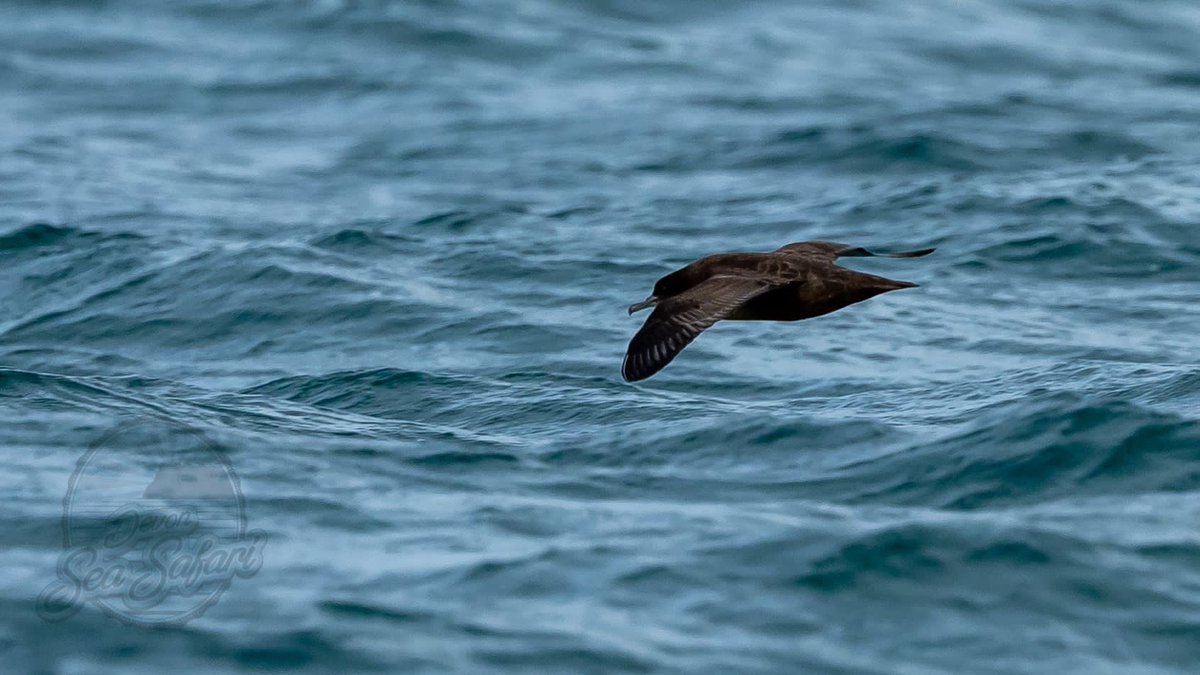 Mike Langman tweet media