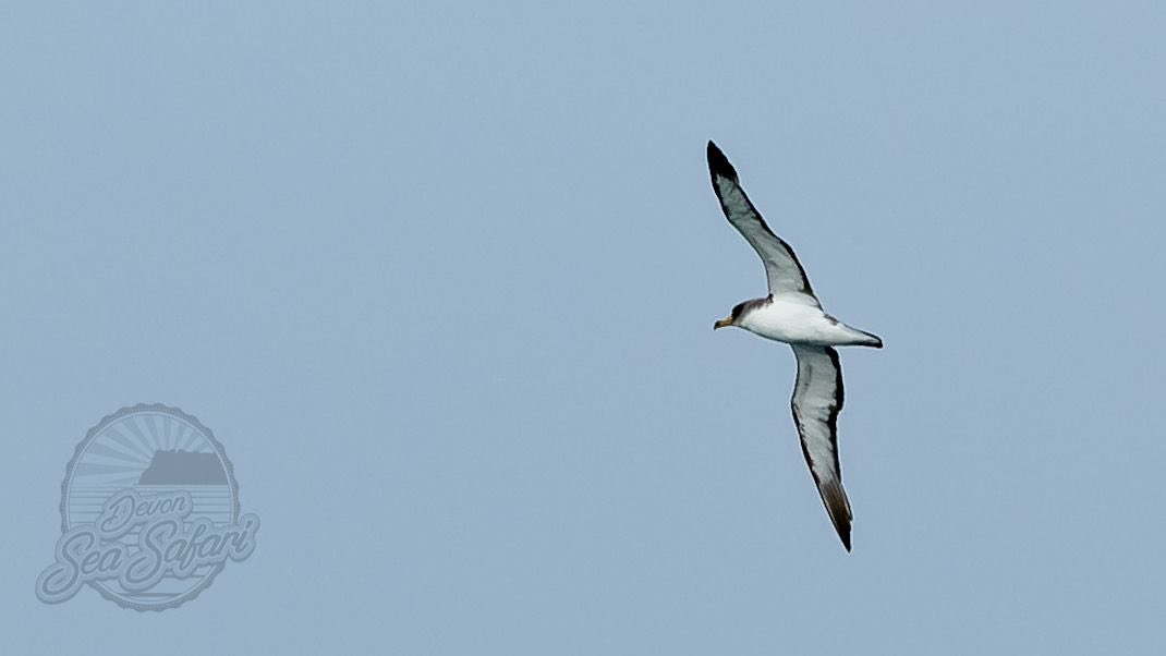 Mike Langman tweet media