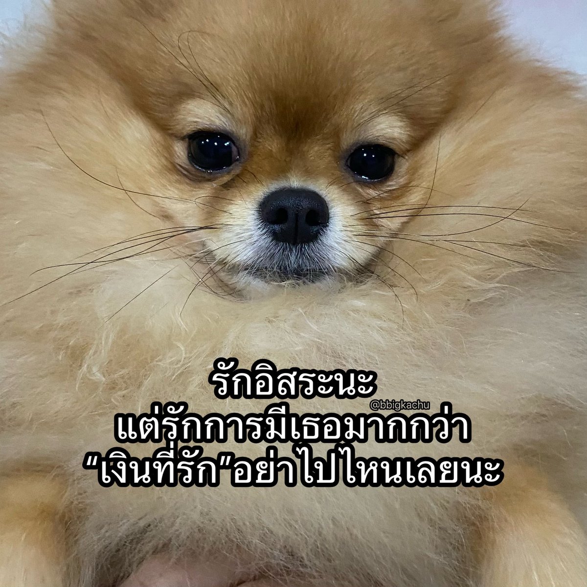 sad boy . tweet media