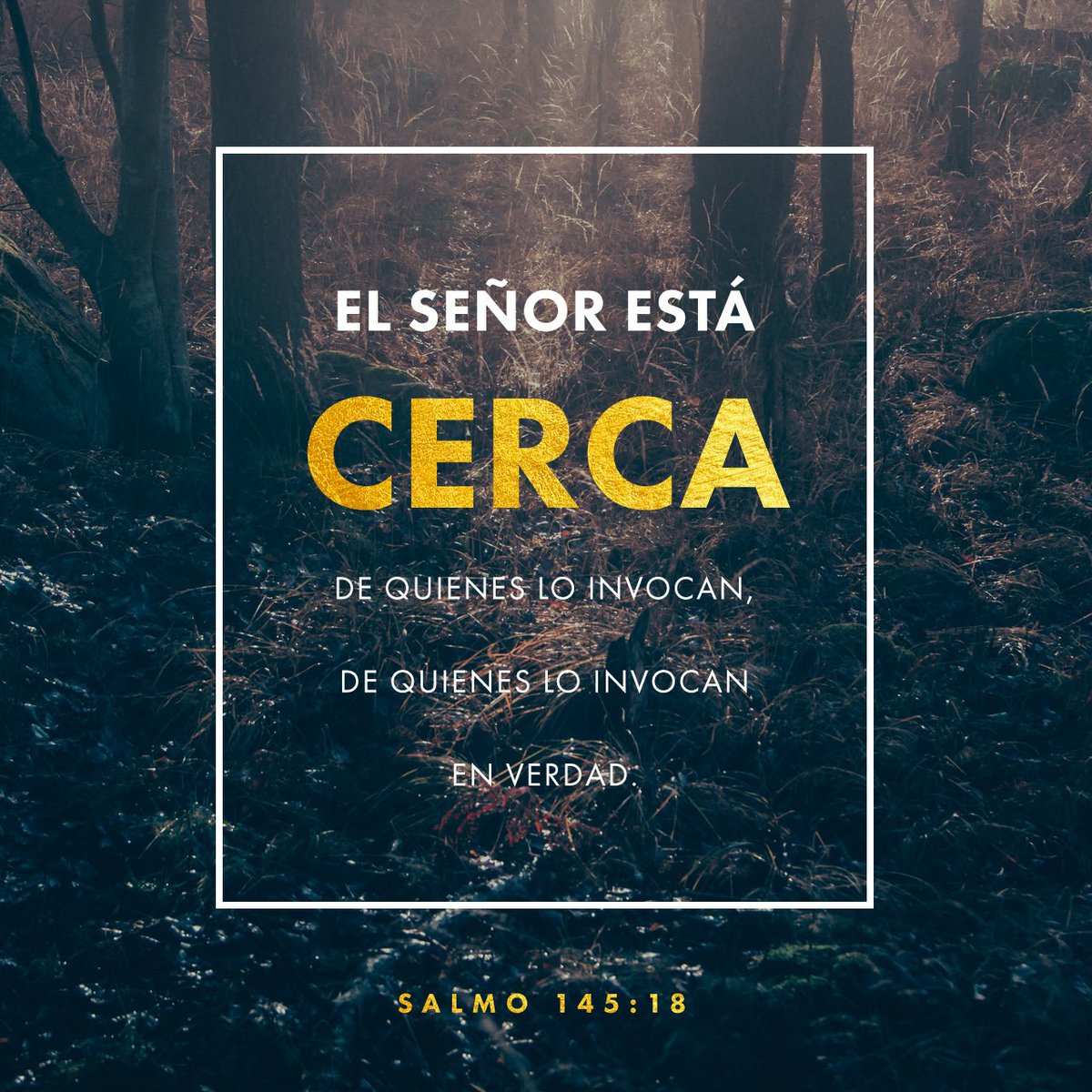luisma0709's tweet photo. Hoy la Biblia me enseñó: El verdadero valor de la alabanza a mi Creador.
#ReavivadosPorSuPalabra
#SALMO145 https://t.co/uSJiO0R5et