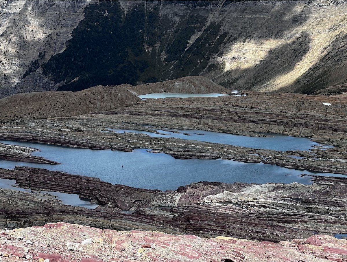 Dr. Jim Elser, PhD 🇺🇸 tweet media