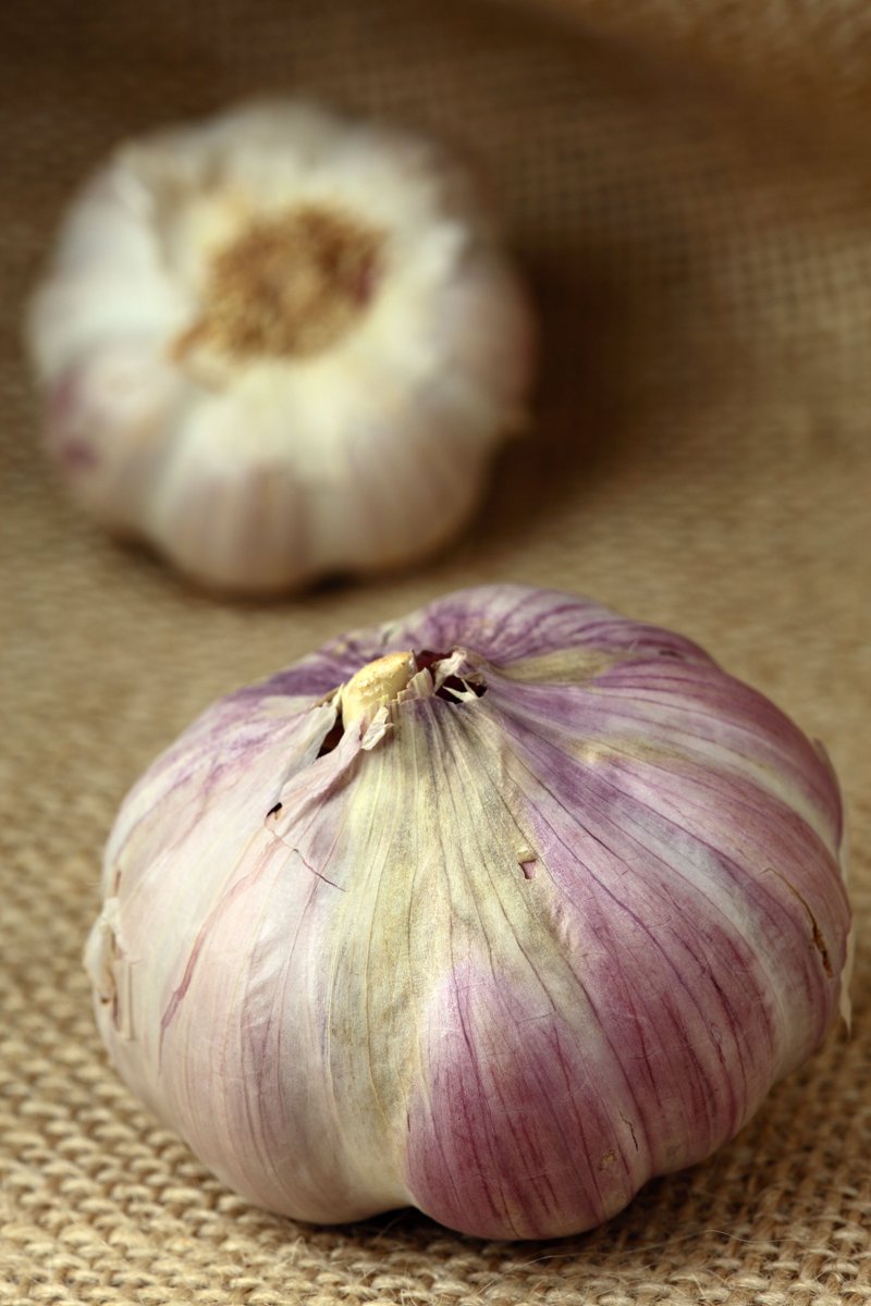 newstalkscience's tweet photo. Up next @NewstalkFM: Do you have trouble with garlic breath? According to a new study, a spoonful of yogurt might be just what you need! @healyle &amp; @FergusMcAuliffe join us next to tell us more! @scienceirel #NTFM #Believeinscience #SFI https://t.co/XyEf0pBNf8