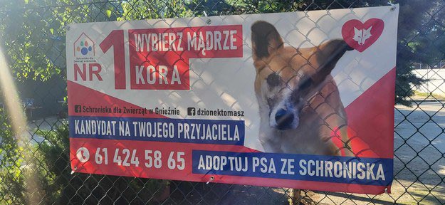 azazelowa's tweet photo. Takie banery wyborcze to mi się podobają https://t.co/iwxAyZLpqx