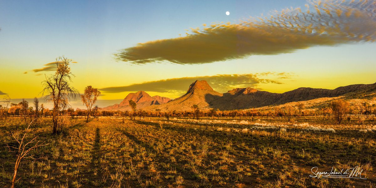 Sagaralakmaldml's tweet photo. Sagara Lakmal de Mel Photography ~
Exploring the breathtaking West Macdonnell Ranges with Ken Duncan Photo Tour.
#WestMacdonnellRanges #NorthernTerritory #Australia #NaturePhotography #KenDuncanPhotoTour #TravelPhotography #AussieAdventures #sagaralakmaldemelphotography #canon https://t.co/mtL0T61sE5