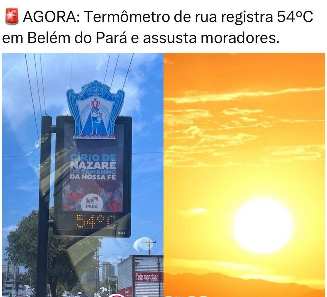 Garçom, tem pitu? traz! tweet media