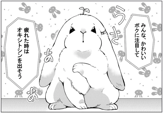 息抜き🐰