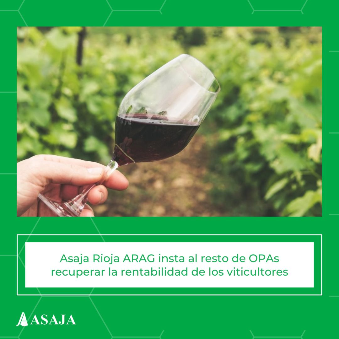AsajaNacional's tweet image. 🍇@ARAG_ASAJA insta a las #OPAs a trabajar en un frente común para recuperar la rentabilidad de los #viticultores 

Estas son las cuestiones que reclaman:
👉ow.ly/Tk0a50PQA4m