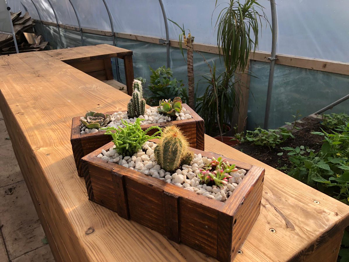 EmmausMersey's tweet photo. A shout out to companion Danny for creating these lovely handcrafted planters. 👏👏

They're filled with cactus and succulents, and available this week from our Charity Superstore in Seaforth. https://t.co/cSRspF2T72