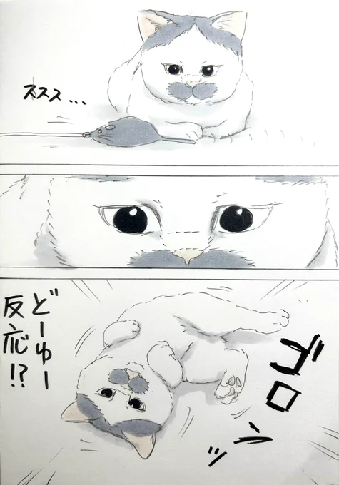 まいにちノリ吉 