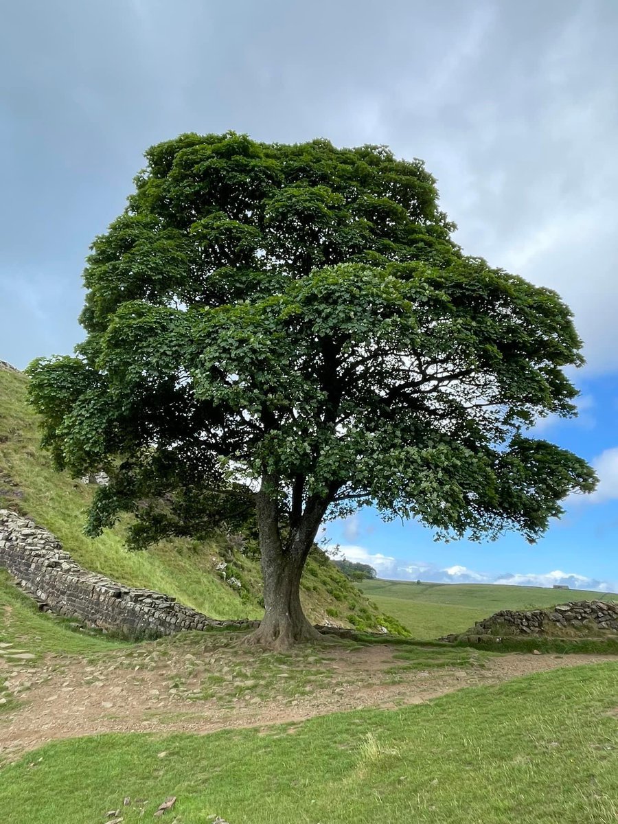 Now gone forever. This is so depressing. 😩