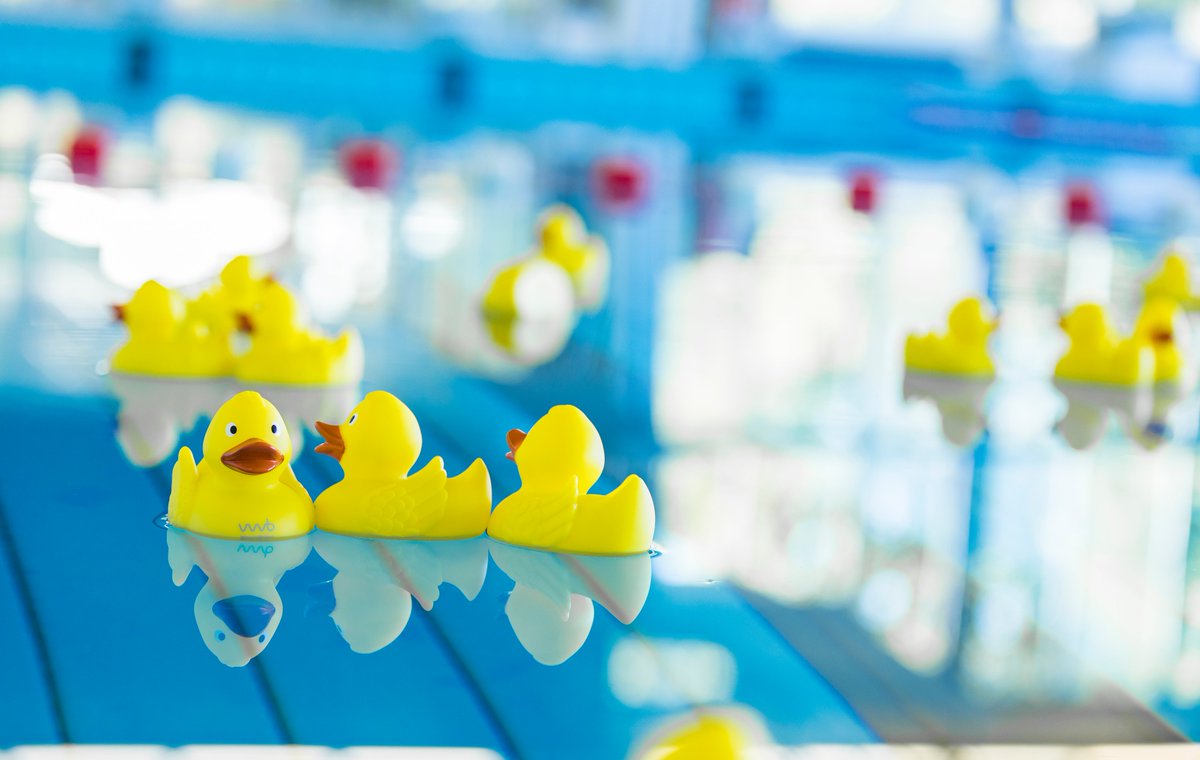 Die Freibadsaison ist beendet und wir möchten zukünftig die Bedingungen zur An- und Abreise zu unseren Bädern verbessern. Dafür wird derzeit ein Mobilitätskonzept für die Bäderstandorte erstellt. Ihre Meinung ist uns dabei sehr wichtig: studionextmobility.limequery.com/144296?lang=de #Bochum