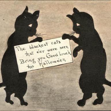 1913 Halloween greeting 🐈‍⬛🎃🐈‍⬛

#Halloween #BlackCat #CatsLover