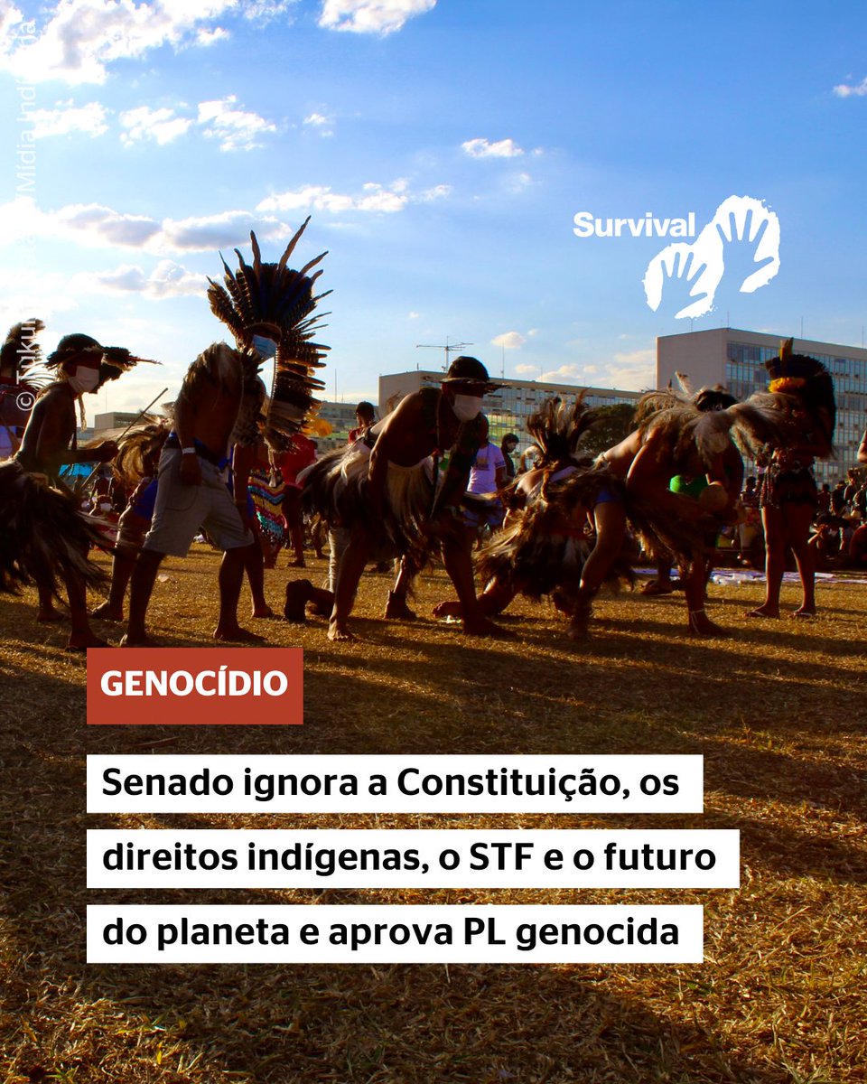 🚨URGENTE: Senado anti-indígena ignora a Constituição, o STF e o futuro do planeta e aprova projeto de lei genocida!

Saiba mais 👇
1/6

#PL2309Não #PL490Não #DireitosIndígenas