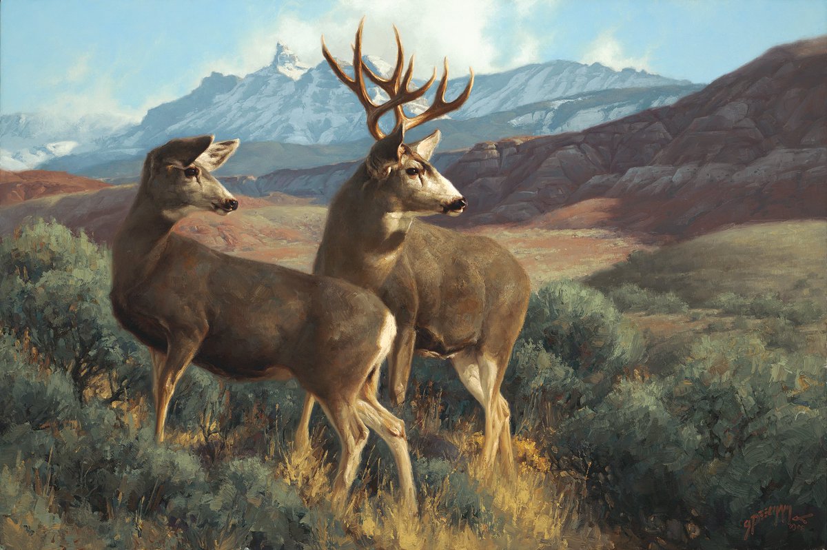 The Ramshorn - 2008 - oil on linen
#muledeer #fineart #oilpainting