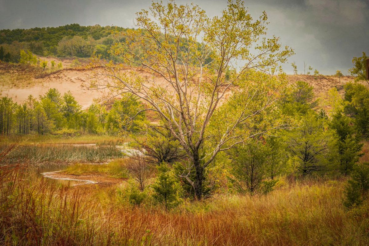 End of Summer, Beginning of Fall 
#bestoftheusa_trees #fortheloveof_branches #woodland #landscapephotography