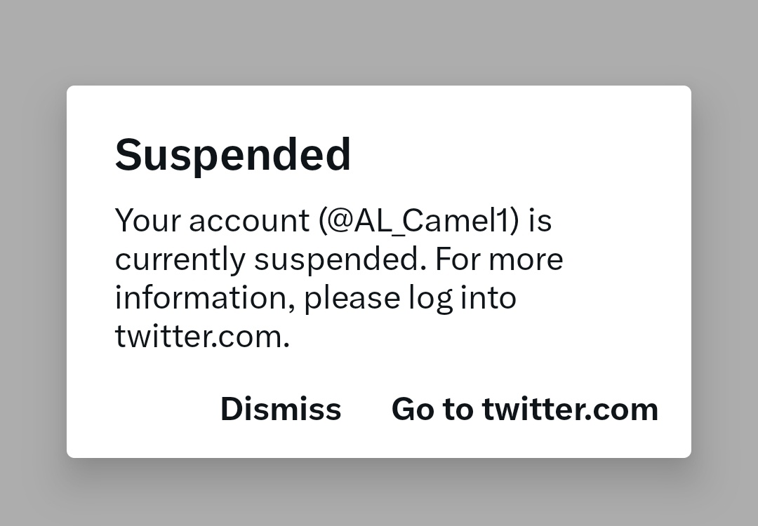 AL Camel tweet media