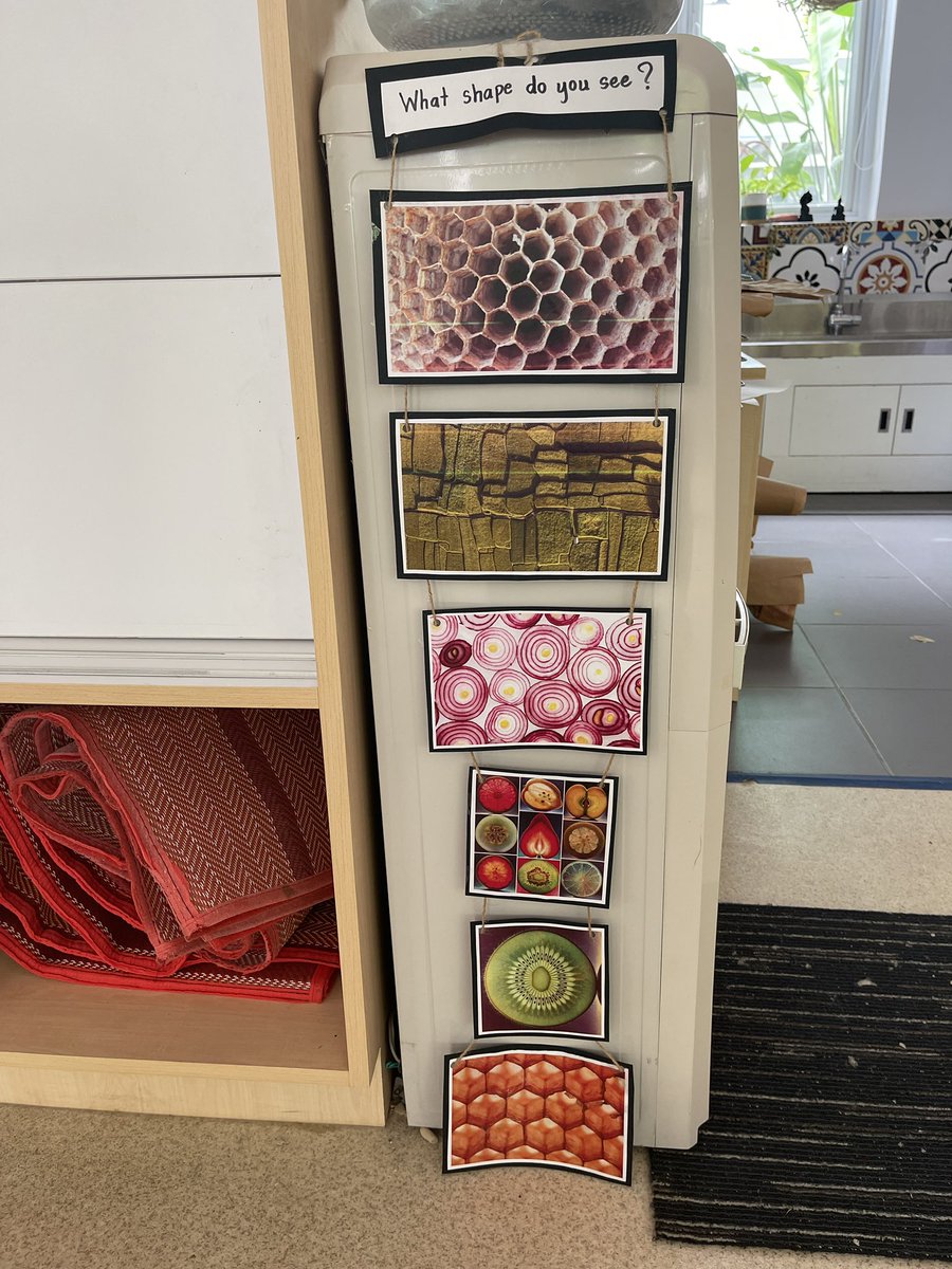 New shape provocation in our environment ✨

So many beautiful questions were asked today! 

#curiousminds #reggioinspired #earlyyears