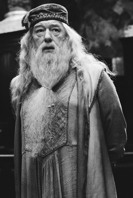 Raising our wands for Michael Gambon. 🪄