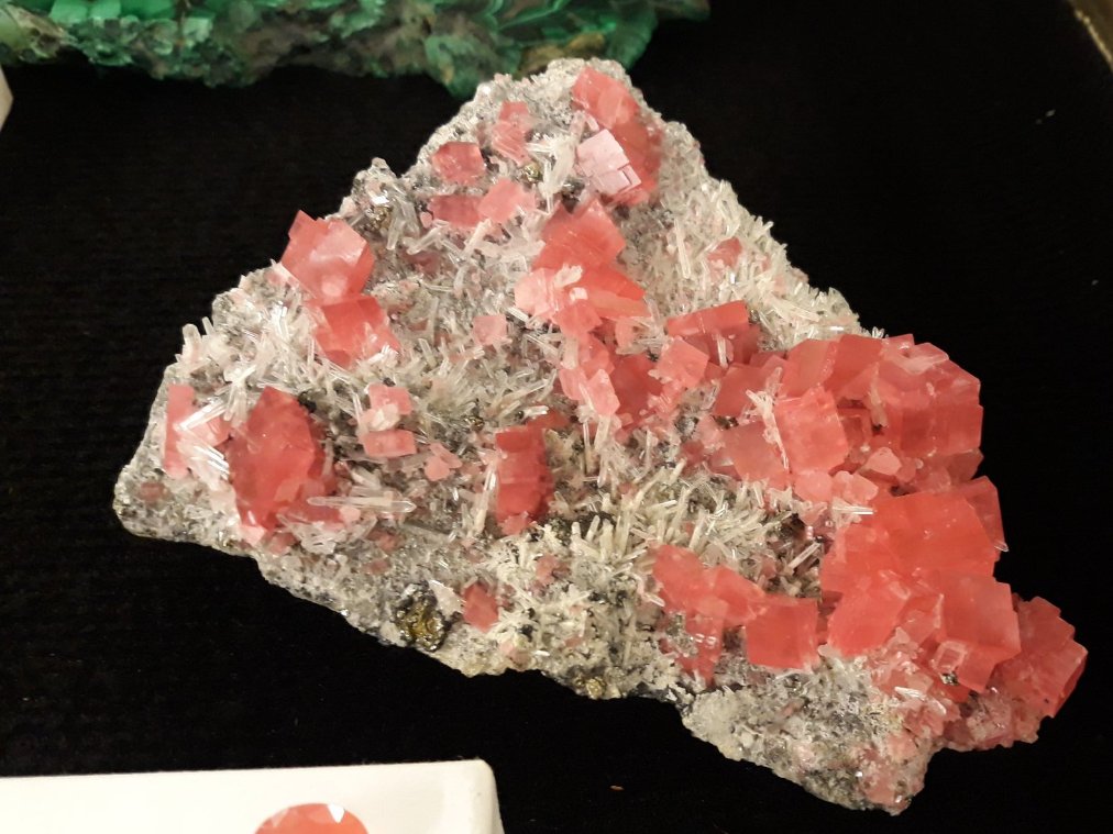Many of the world's best rhodochrosite specimens come from Sweet Home Mine in Colorado, USA. Despite its vibrant colour, rhodochrosite has a white streak (this is the colour of its powdered form) #MinCup23 #mineral #minerals