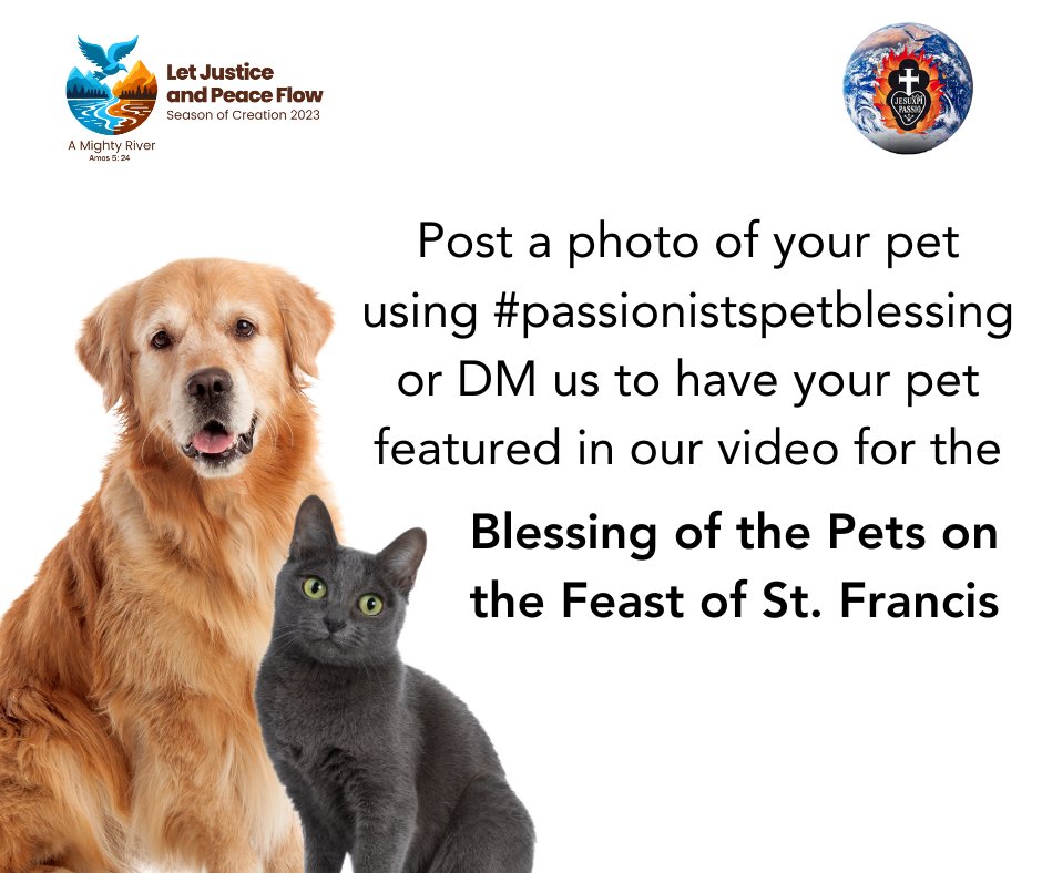HolyProvince's tweet photo. On Wednesday, October 4, in celebration of the Feast of St. Francis and the Season of Creation, we will present an online blessing of the pets.

Post a photo using #passionistspetblessing or DM us a photo to have your pet featured in our video! 
Deadline: October 1. https://t.co/T1lKH3sLVI