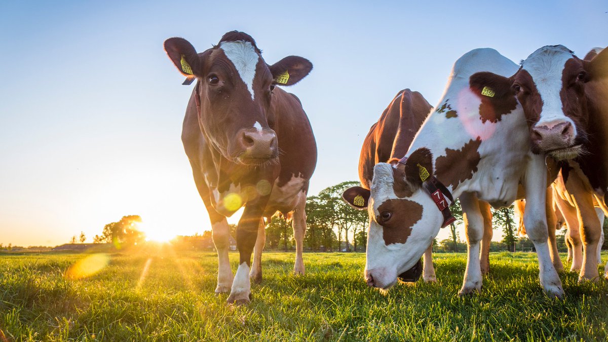 🌱🚜👨‍🌾🐮🐔 Read our latest article on improving farming efficiency & livestock wellbeing with variable speed drives: agritechtomorrow.com/article/2023/0…

#ABBMotion #ABBdrives #AgTech #Farming #VariableSpeedDrives #VSDs