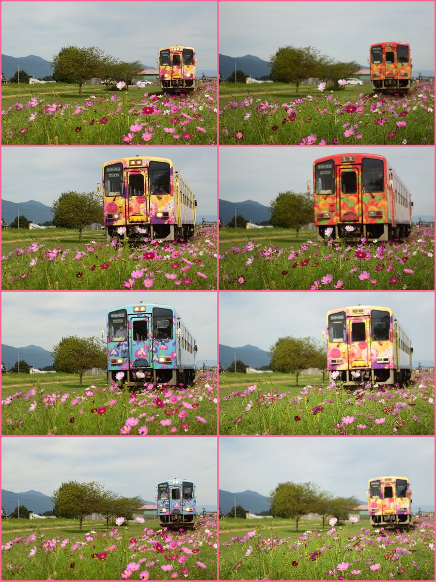 loveC57180's tweet photo. 本日の休日は｢山形鉄道フラワー長井線｣のコスモス花畑へ🌷😉
私の故郷を走る｢会津鉄道｣と同じく、様々なカラーデザインの気動車が走っていて撮るのが楽しいです😄📸
撮り鉄の後の温泉もまた最高です‼️😆
天王寺穴原温泉へ♨️
#山形鉄道フラワー長井線  #時庭駅
#会津鉄道 #飯坂温泉 #飯坂真尋 https://t.co/FqSxrdRbxm