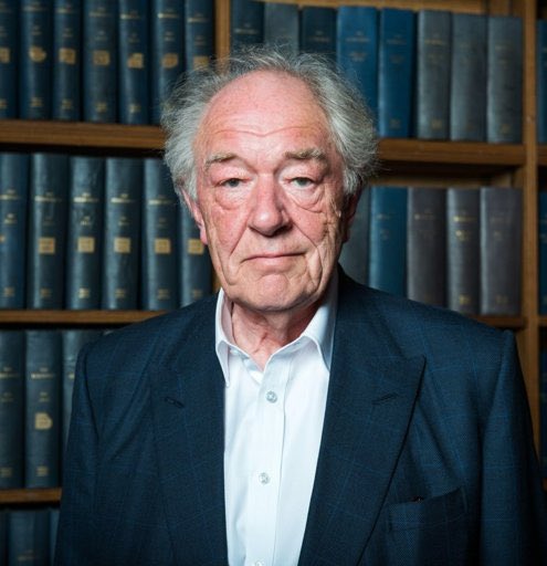 SeriesBrasil's tweet image. Morreu aos 82 anos, o ator Michael Gambon, nosso eterno Dumbledore de Harry Potter.
