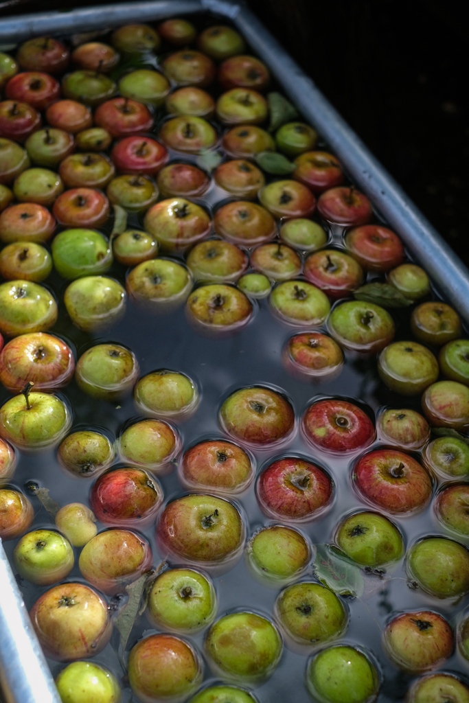 Cowdray Farm Shop tweet media