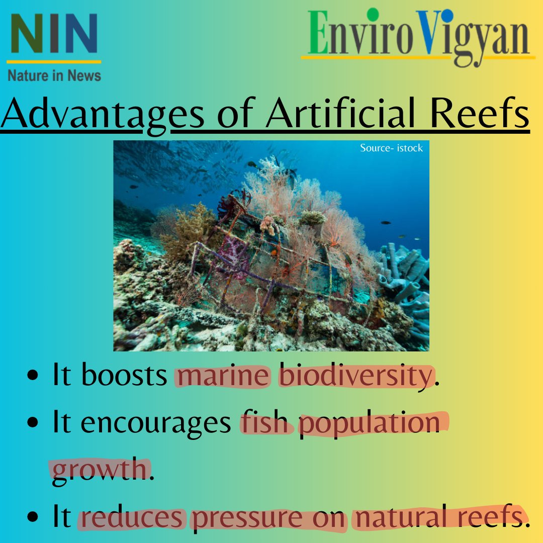 #natureinnews #fisheries #departmentoffisheries #fish #fishproduction #fishers #artificialreefs #reefs #aquaticresources #aquatichabitat #fishpopulation #marinebiology #marinelife #environment #nature #lifeunderwater
1/2