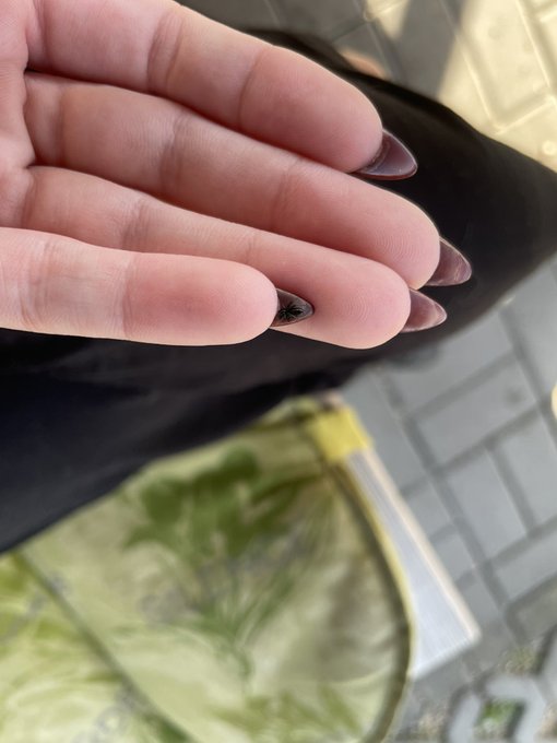 This wittle guy decided my nail is a perfect home. https://t.co/y42GPP81W4<a href="/tag/worlddogday"class="tags"><span>&#35;worlddogday</span></a>