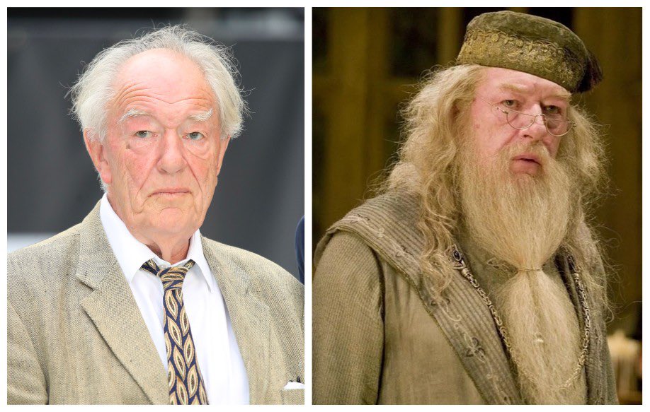 Sad to report that Michael Gambon, who played Albus Dumbledore in the last six Harry Potter films, has sadly passed away at the age of 82. Please raise your wands for Michael and all of his family and friends during this difficult time. May he rest in peace.