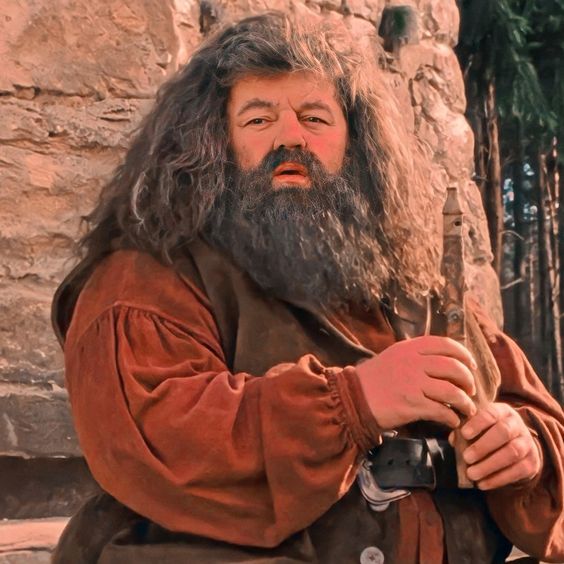 Foi quase um ano de diferença entre a morte de Robbie Coltrane e Michael Gambon. Perdemos o Robbie em outubro do ano passado e agora o Michael hoje. Parece que a gente está se despedindo de pessoas próximas quando alguém do elenco de Harry Potter se despede.