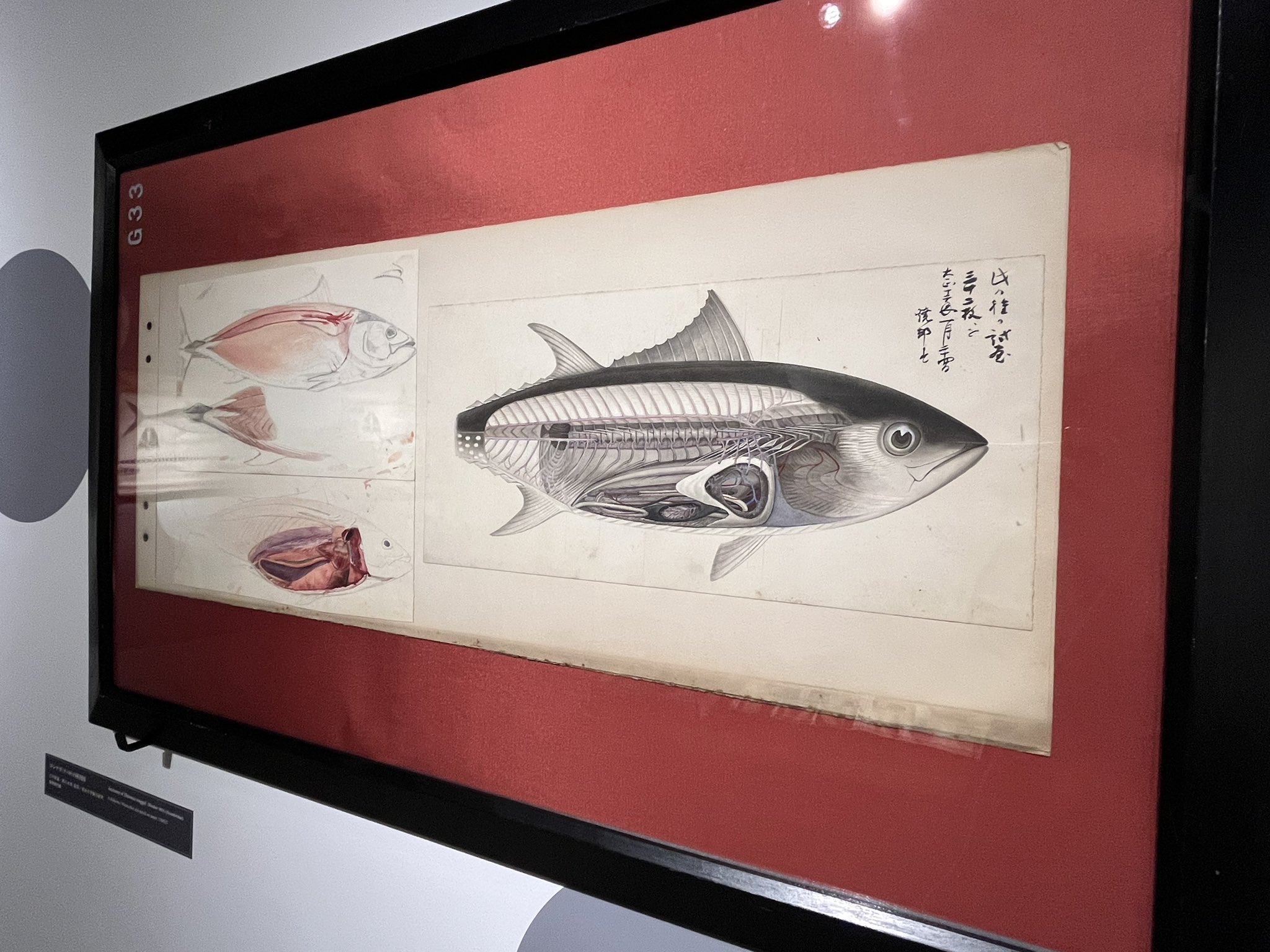 絵画魚と何か作者不明