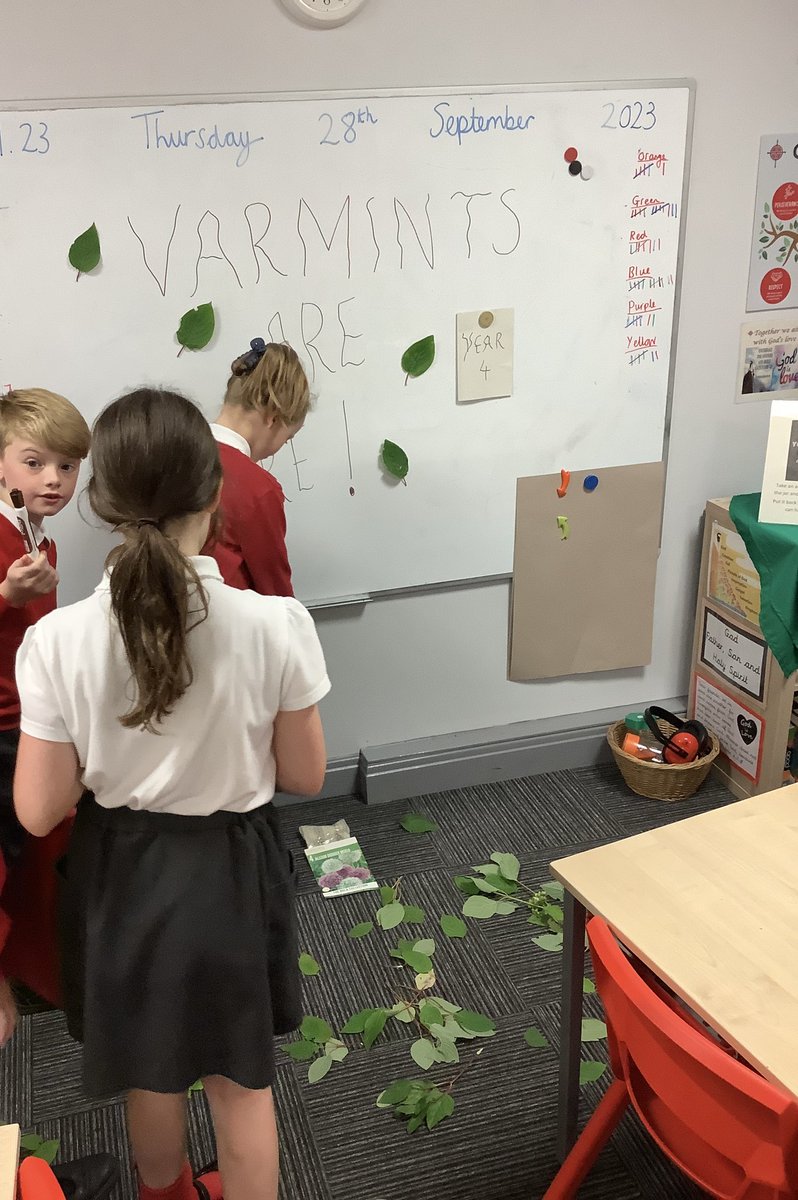 StPhilipsY4A's tweet photo. VARMINTS ARE HERE! We made a very strange discovery in our classroom this morning. Someone had left us clues and a letter. We used our English lesson today to record investigative questions about our discovery  #teamstphilips @StPhilipCEAP https://t.co/U9hioE5ipK