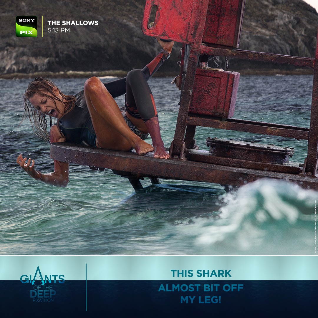 SonyPIX's tweet photo. Would you dare to fight one of these sea monsters?
Watch these sea creatures take over your screens with Giants of the Deep on Saturday 30th Sep, all day long only on Sony PIX!
#SonyPIX #StayAmazed #SeaOfMonsters #GiantsOfTheDeep #Pixathon #TheShallows #Godzilla #TheMeg https://t.co/zluyA6OeNP