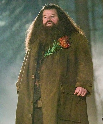 lucaslu_ckli's tweet photo. Two Harry Potter legends gone within a year.
That hurts. 🕊️

#RobbieColtrane 14. October 2022 
#MichaelGambon 28. September 2023 https://t.co/y11MGUBxFS