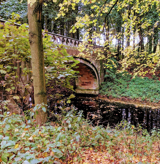 Samantha Rickelton tweet media