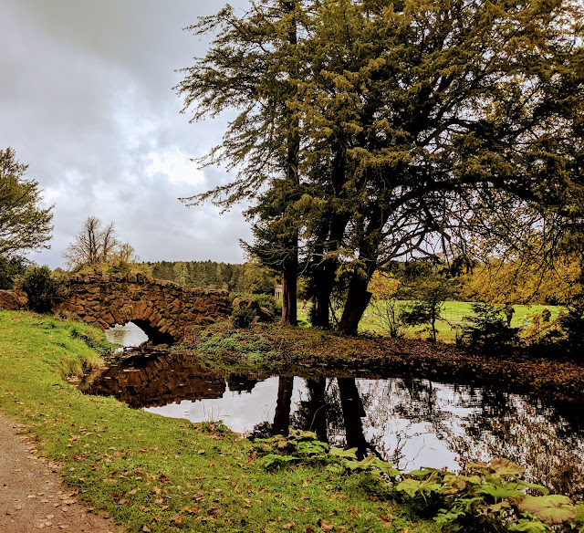 Hardwick Park - Dinosaur Trail Review &amp; Information

northeastfamilyfun.co.uk/2020/10/hardwi…
