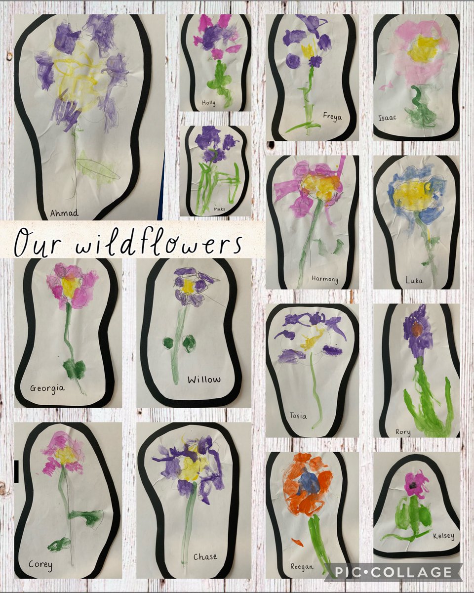 RYFOren's tweet photo. We are so proud of our fabulous wildflower paintings. They look beautiful 🌸🌼🎨 #observationaldrawings #wildflowers #ambitiousalys @rhosyfedwen https://t.co/TE336PqtCN