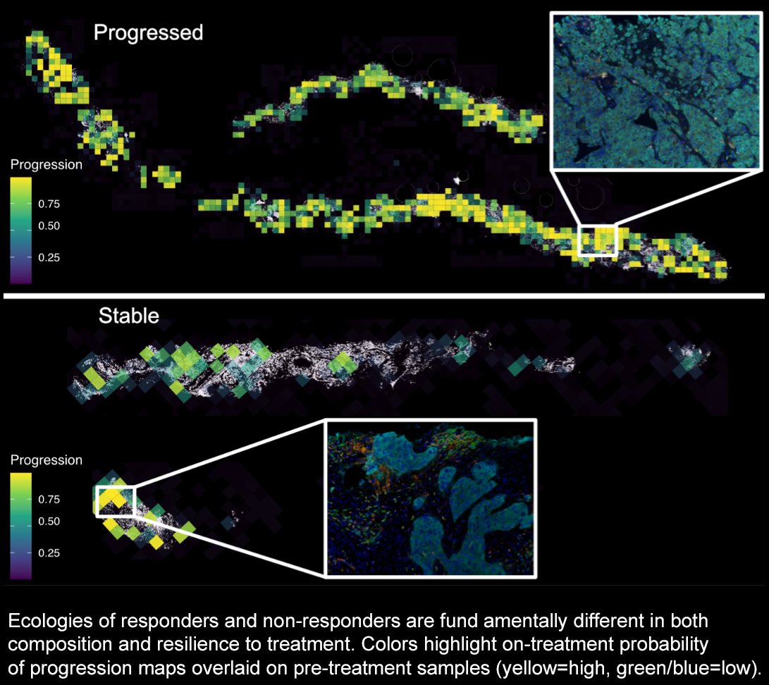Sandy Anderson (@ara_anderson) on Twitter photo Thanks to an incredible collaborative team of scientists including Bob #Gatenby @dbasanta <a href="/AndriyMarusyk/">Andriy Marusyk</a>
Amer Beg <a href="/markrt_/">Mark R-T</a> <a href="/Sciurusniger/">Joel Brown</a> <a href="/JhanelleGray/">Jhanelle Gray MD</a> <a href="/ReneeBradyPhD/">Renee Brady</a> <a href="/mathoncbro/">Jeffrey West</a> <a href="/sandhya212/">Sandhya Prabhakaran</a> <a href="/cgatenbee/">Chandler Gatenbee</a> & more, <a href="/mathonco/">IMO</a> will be part of the @NCIsysbio program for the next 5 years! Thanks to an incredible collaborative team of scientists including Bob #Gatenby @dbasanta <a href="/AndriyMarusyk/">Andriy Marusyk</a>
Amer Beg <a href="/markrt_/">Mark R-T</a> <a href="/Sciurusniger/">Joel Brown</a> <a href="/JhanelleGray/">Jhanelle Gray MD</a> <a href="/ReneeBradyPhD/">Renee Brady</a> <a href="/mathoncbro/">Jeffrey West</a> <a href="/sandhya212/">Sandhya Prabhakaran</a> <a href="/cgatenbee/">Chandler Gatenbee</a> & more, <a href="/mathonco/">IMO</a> will be part of the @NCIsysbio program for the next 5 years!