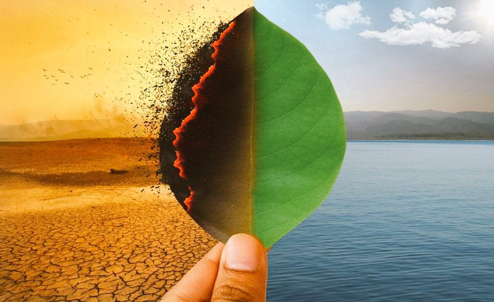 Tatenda Kutsirayi🇿🇼 tweet media