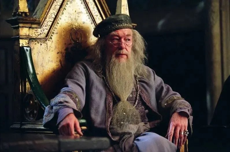 hawkinssquawk's tweet photo. grazie Michael Gambon per averci regalato il miglior Silente che avremmo mai potuto desiderare💔 #RipMichaelGambon #HarryPotter https://t.co/ThyXw72nx1